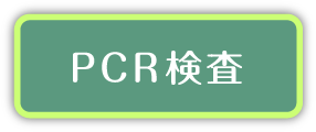 PCR検査